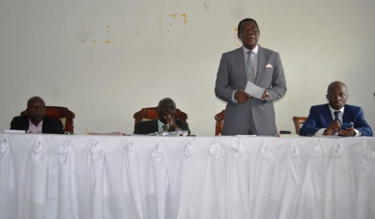 310363913_466832935481675_2704215019265142800_n