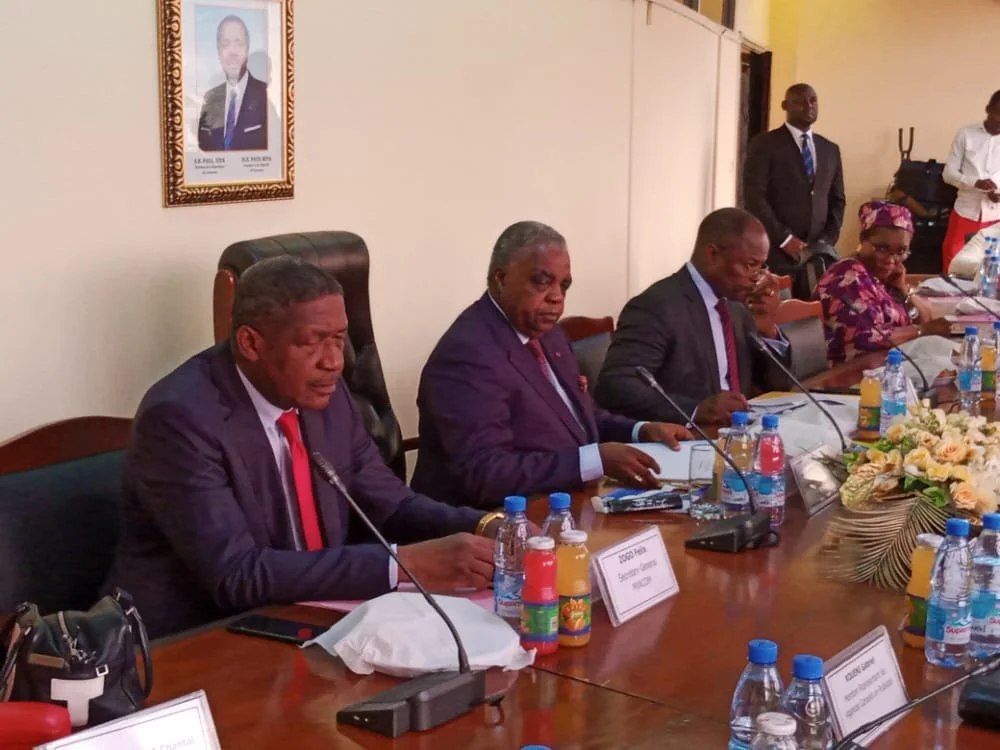 Conseil-National-de-la-Publicité_Camerounactuel.com_