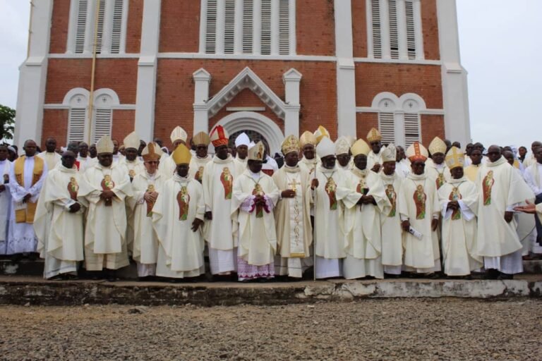 WhatsApp Image 2023-01-12 at 14.46.20