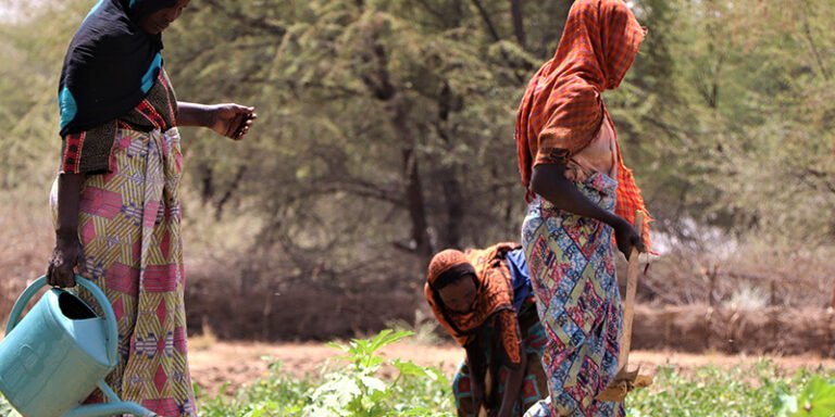 Insecurite-alimentaire-pandemie-Covid_19