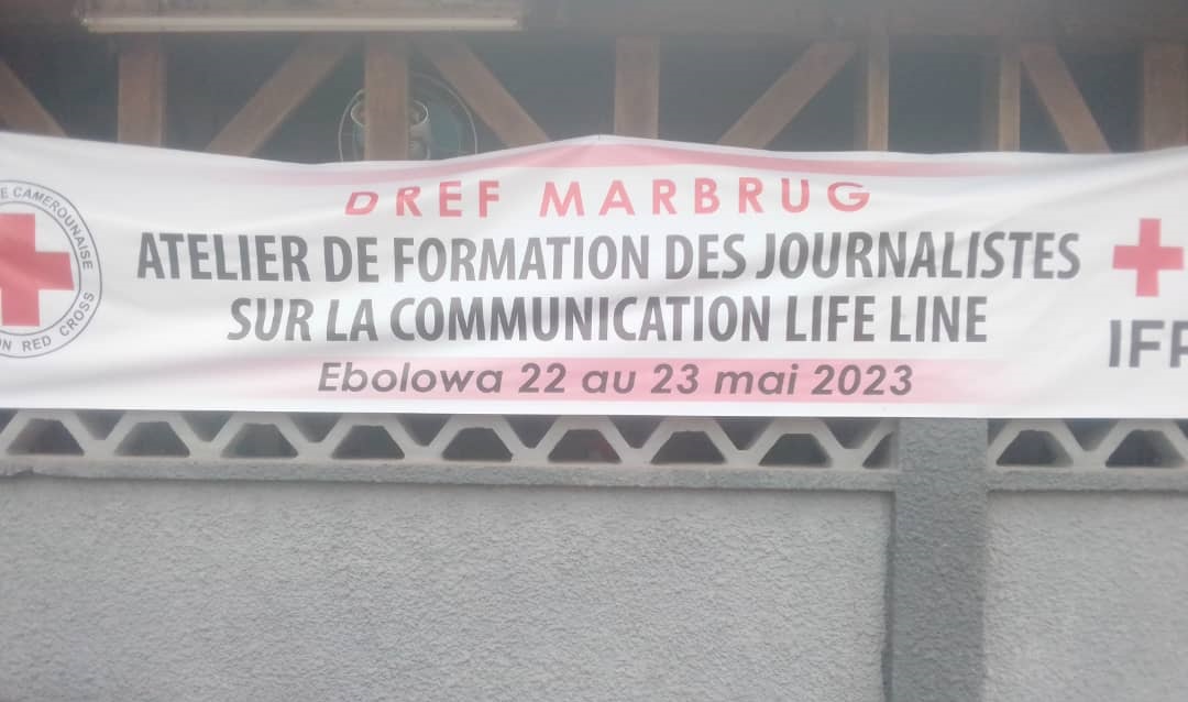 Les journalistes de la région du Sud formés dans la communication « life line »