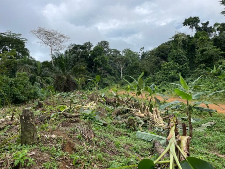 1ae91155-92c3-4e29-b73e-870a7208590b