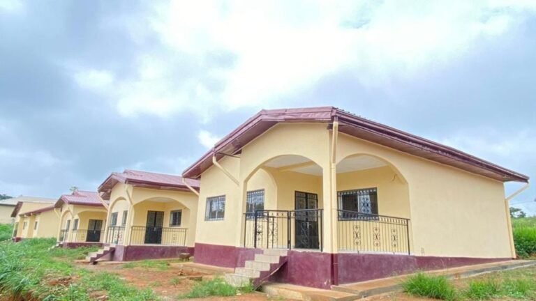 356003675_718173783651335_1077514511656059611_n