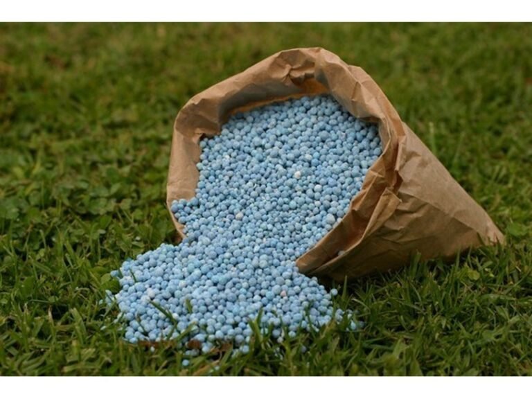 engrais_chimiques_maroc