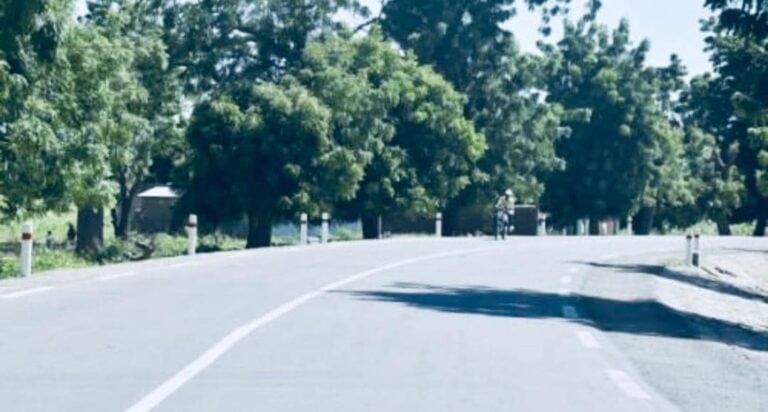 380150077_223579160694460_5094520323523543961_n