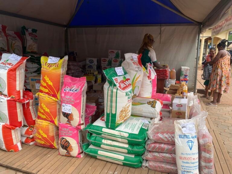 383994764_228787470180331_831541095449495454_n