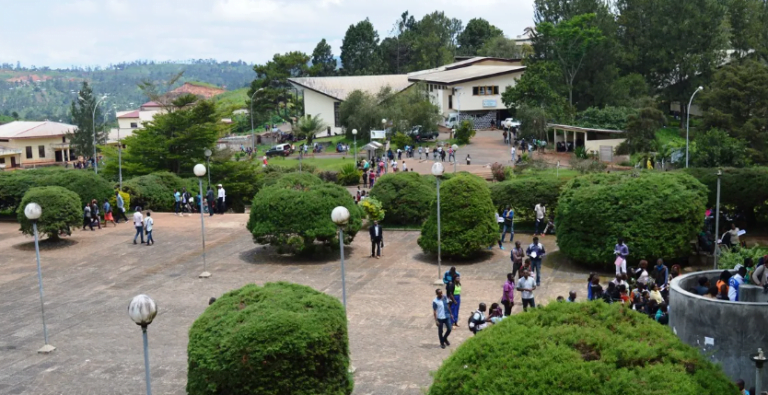 Capture d’écran 2023-09-05 163319