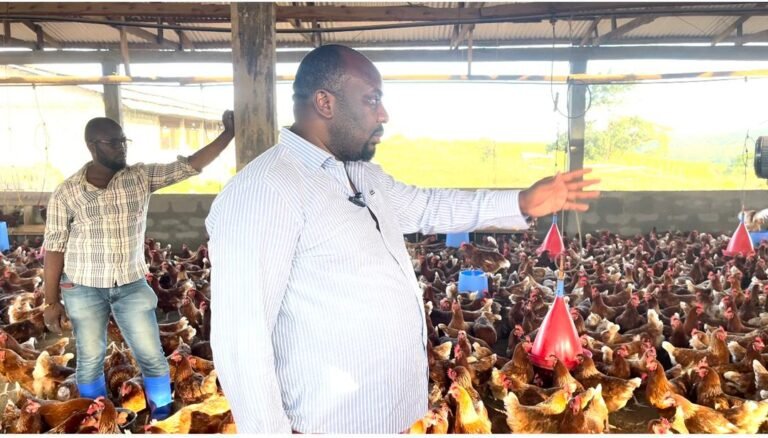 WhatsApp Image 2023-11-01 at 12.21.28