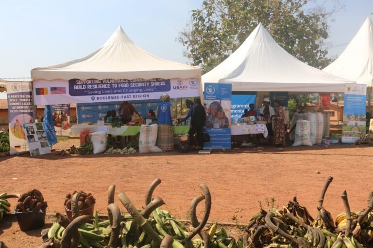 411883763_855665776562961_1861900679883404763_n