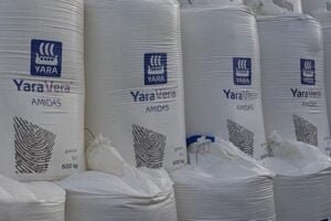 yara-au-cameroun_L
