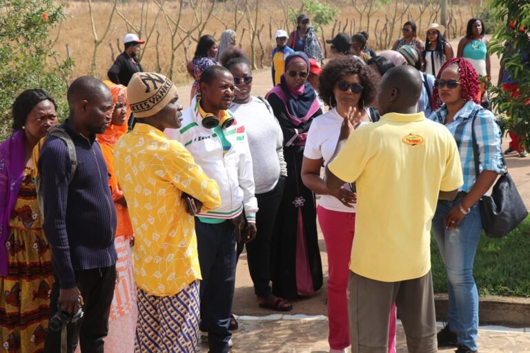 431125863_908353414627530_6174110482589772479_n