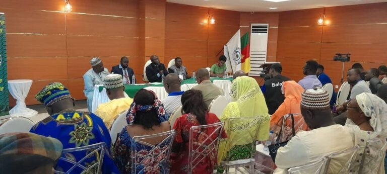 432148781_912636910865847_8260142152221255710_n