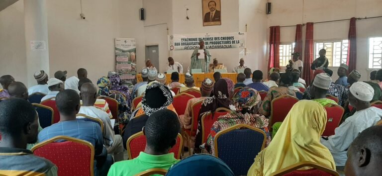 438754911_938747871588084_6492497424914171223_n