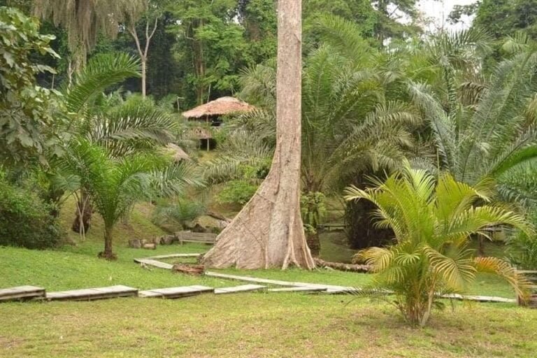 424637901_465276759218351_3675689707107942152_n