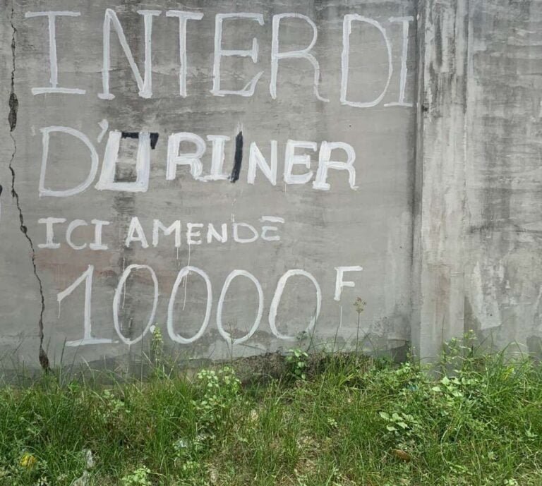 50f1d6b_1687257589681-img-7074~2