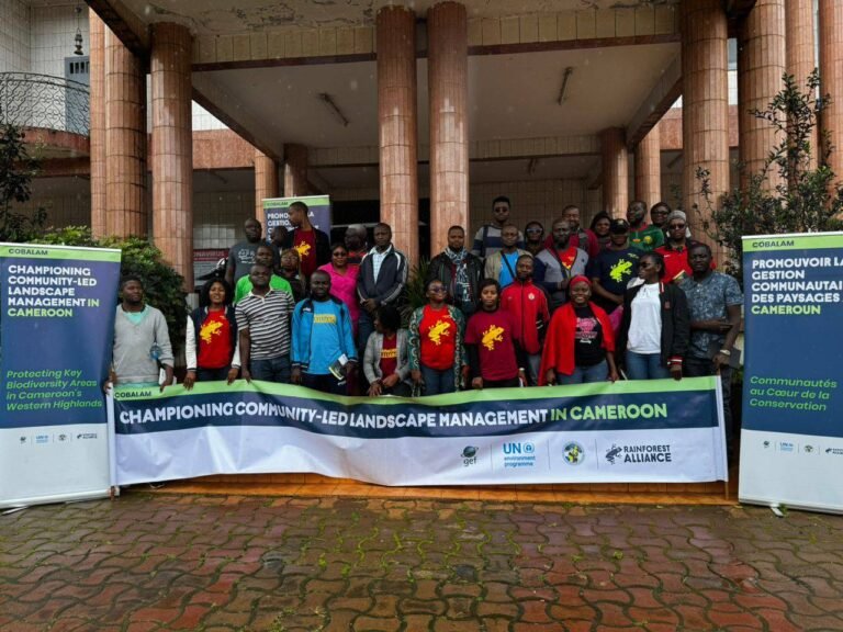 Photo cartographie 2