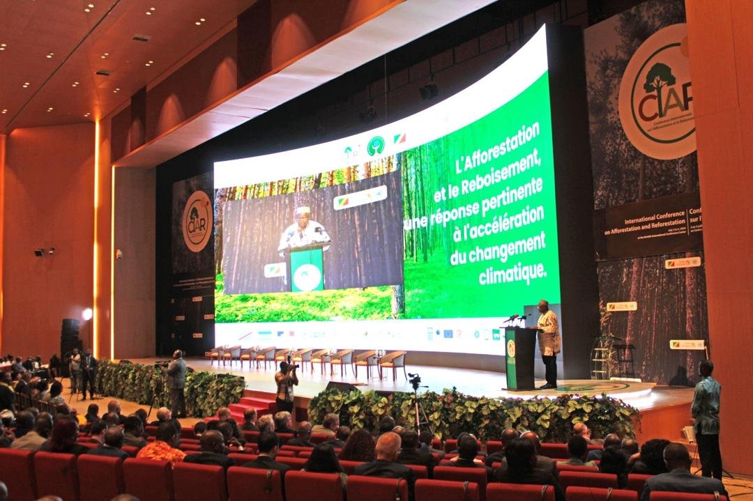 WhatsApp Image 2024-07-05 at 11.01.09