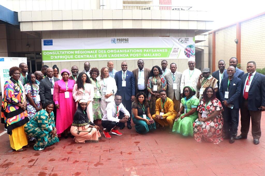 WhatsApp Image 2024-07-11 at 10.33.55