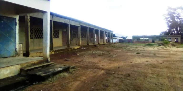 1631114026019_IMG-20210907-WA0379