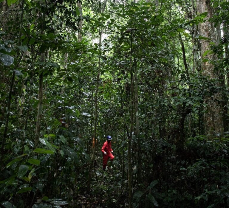 Photo ATIBT ASP Cameroun