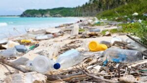 Pollution plastique