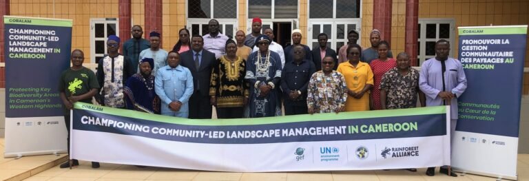 Réserve Bali-Nguemba