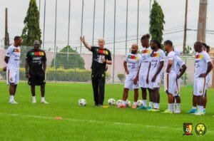 Lions indomptables