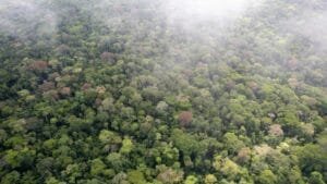 Photo biodiversité_projet RESSAC