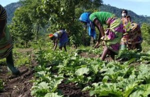 photo agricultrices