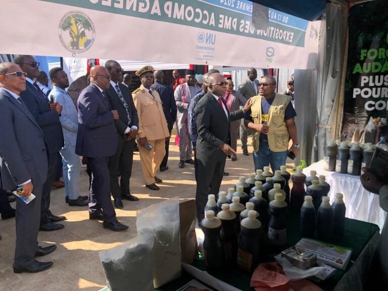 Photo expositions PME projet COBALAM