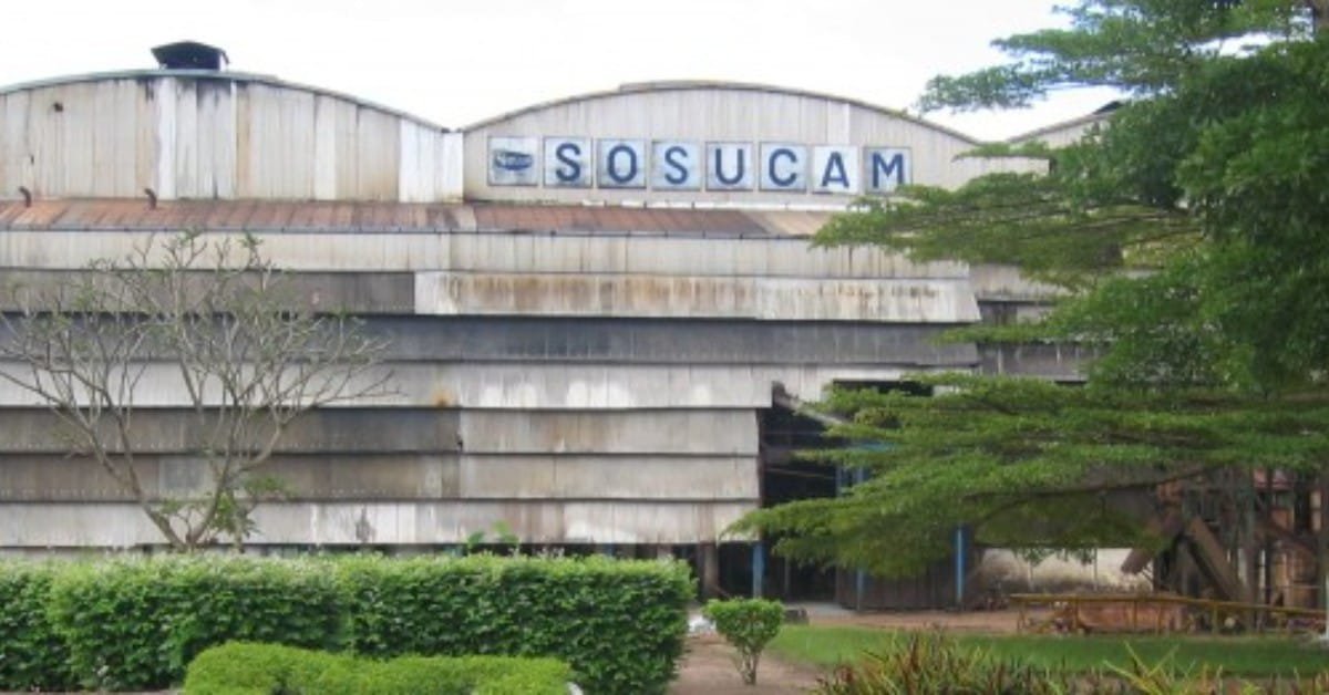 Sosucam