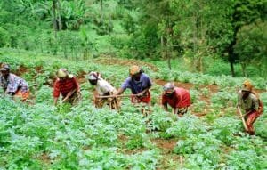Appel à candidature : Financement spécial pour 10 000 jeunes entrepreneurs agropastoraux