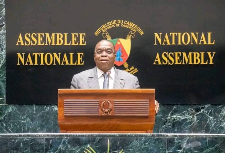 Motaze-a-lAssemblee-Nationale-850x580