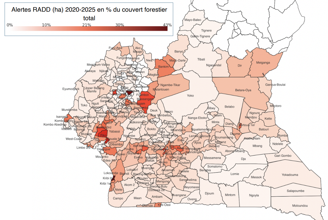 Capture-decran-2026-02-12-103040 Cacao au Cameroun : Richesse nationale, pauvreté paysanne et forêts menacées