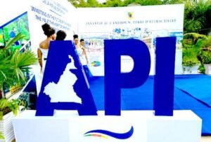 Complément d’informations au sujet des statistiques relatives aux investissements agréés au Cameroun