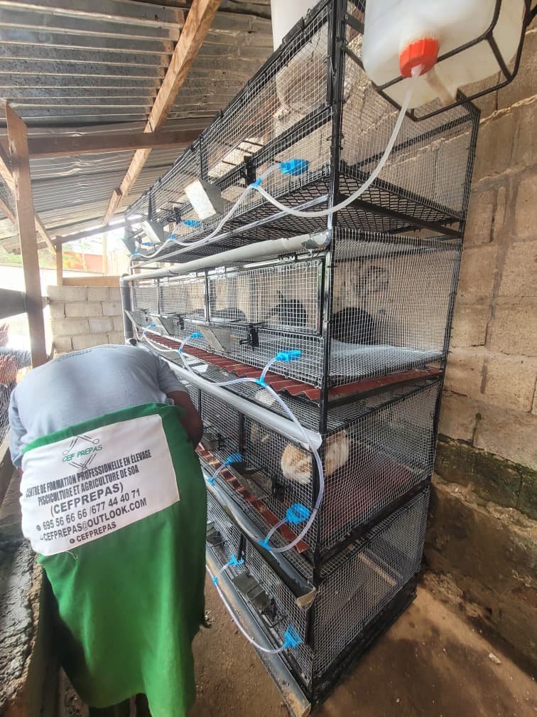 Istap-rat Journées portes ouvertes : ISTAPA-CEFREPAS dévoile ses formations innovantes en agriculture, élevage et énergies renouvelables