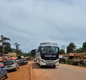 Accident mortel sur la RN4 : Un bus de Mangwa Boy percute un camion à Nomale