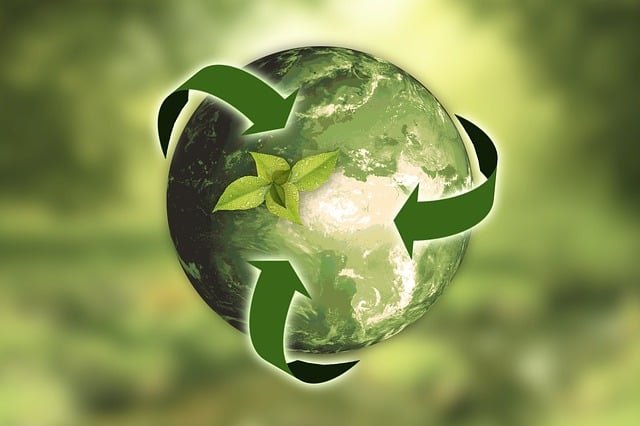 Économie circulaire : Le Cameroun veut transformer ses déchets et ressources en nouvelles chaînes de valeur